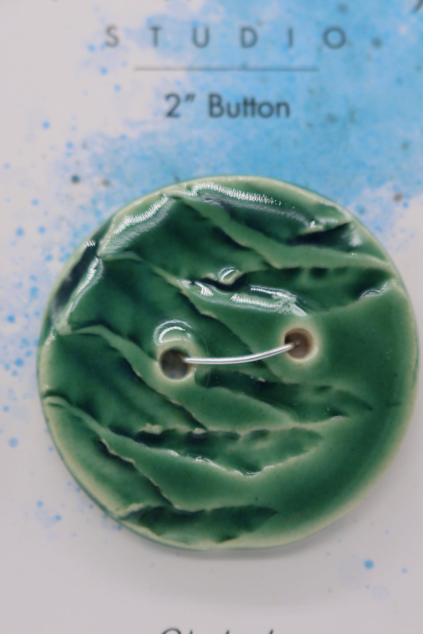 Shawl/Purse Button, Fern