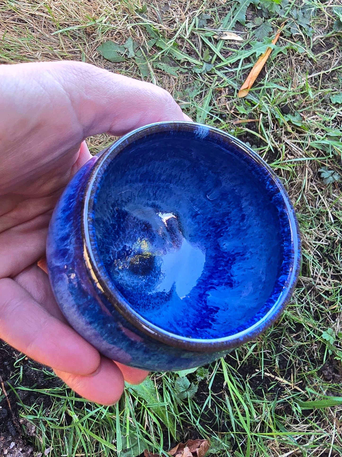 Cobalt Blue Goblets