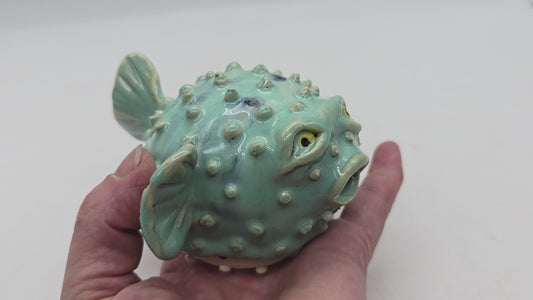 Puffer Fish