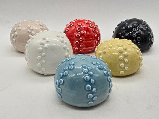 Sea urchin salt ball, (shaker)