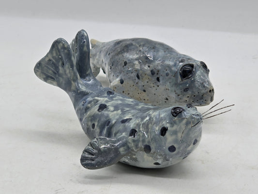 Harbour Seals